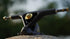 Air - 180mm V2 (Black or White|Set of 2)
